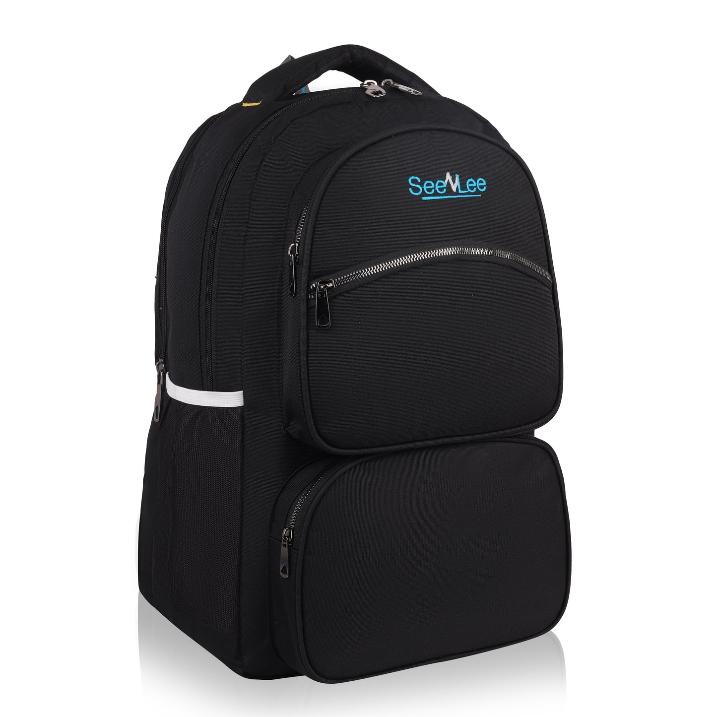 SeenLee DualPro 28L Backpack - Executive Series | Smart Tech Double Compartment Professional Laptop Backpack (Black)