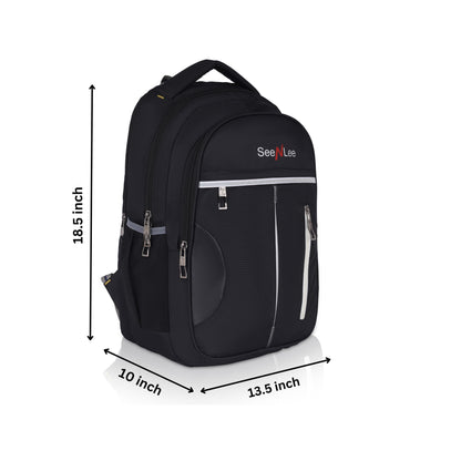 SeeNLee Executive Pro Series | 32L Professional Backpack | Premium Business & Travel Bag with Sleek Design (Black-Silver)